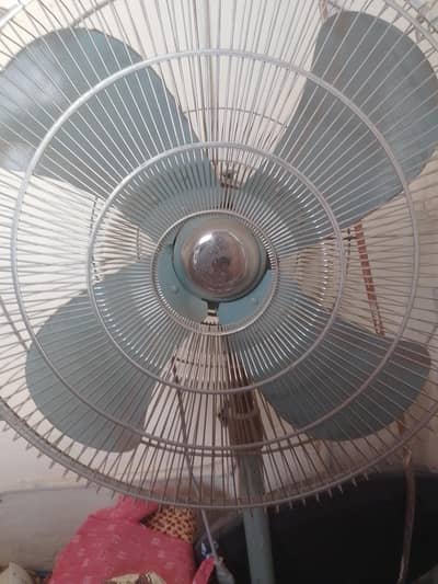 Royal fan argent sale