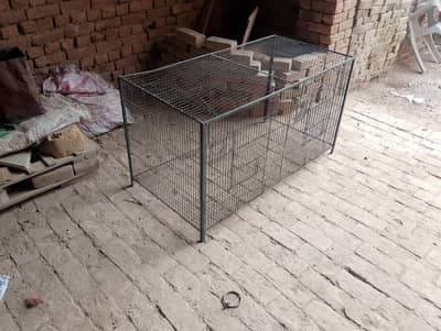 Cage for big birds or colony for small birds