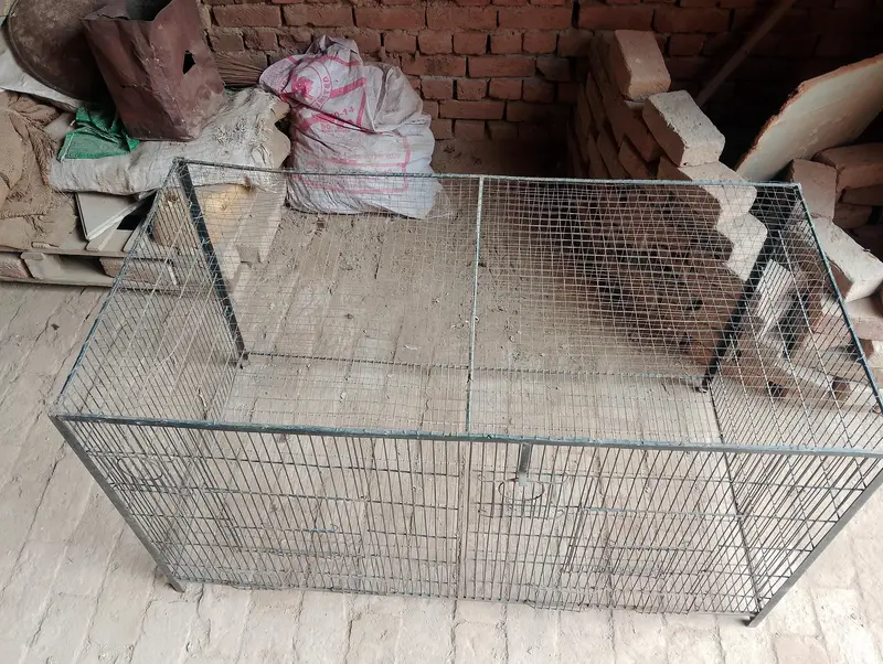 Cage for big birds or colony for small birds — photo 2