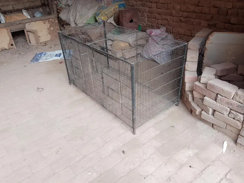 Cage for big birds or colony for small birds — photo 3