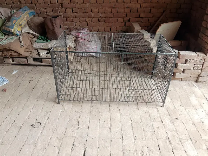 Cage for big birds or colony for small birds — photo 4