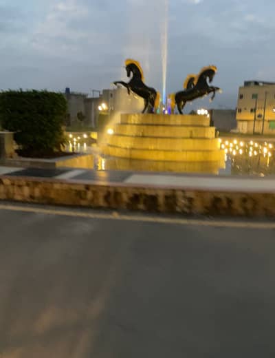 Facing Park
