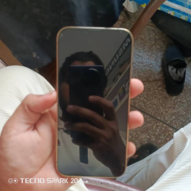 iPhone 13 Pro Max 5