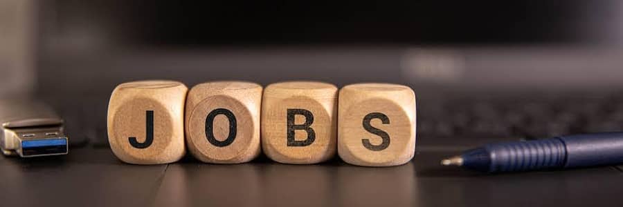 Job for Female For Office Work