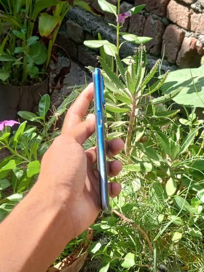 OPPO A54