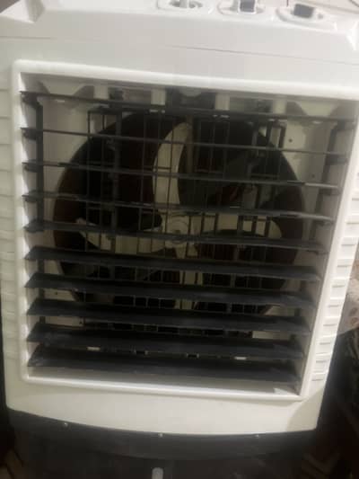 Ac dc air cooler