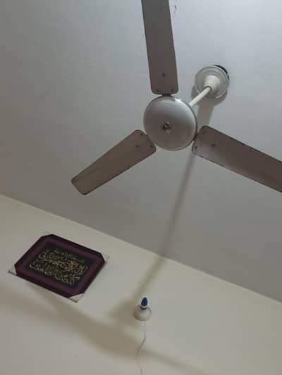 celling fan for sale