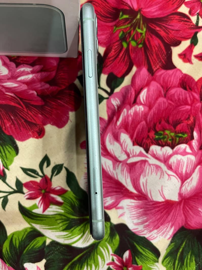 Apple iPhone 11 4