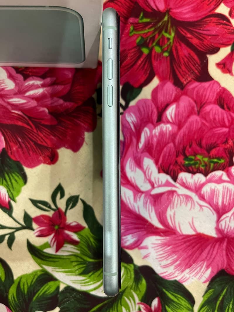 Apple iPhone 11 5
