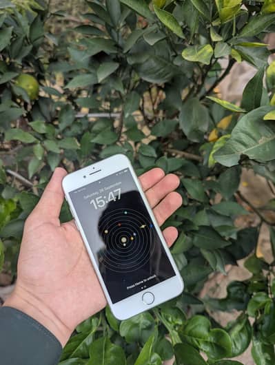 iPhone 8