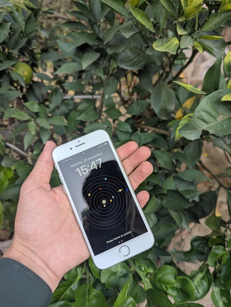 iPhone 8 0