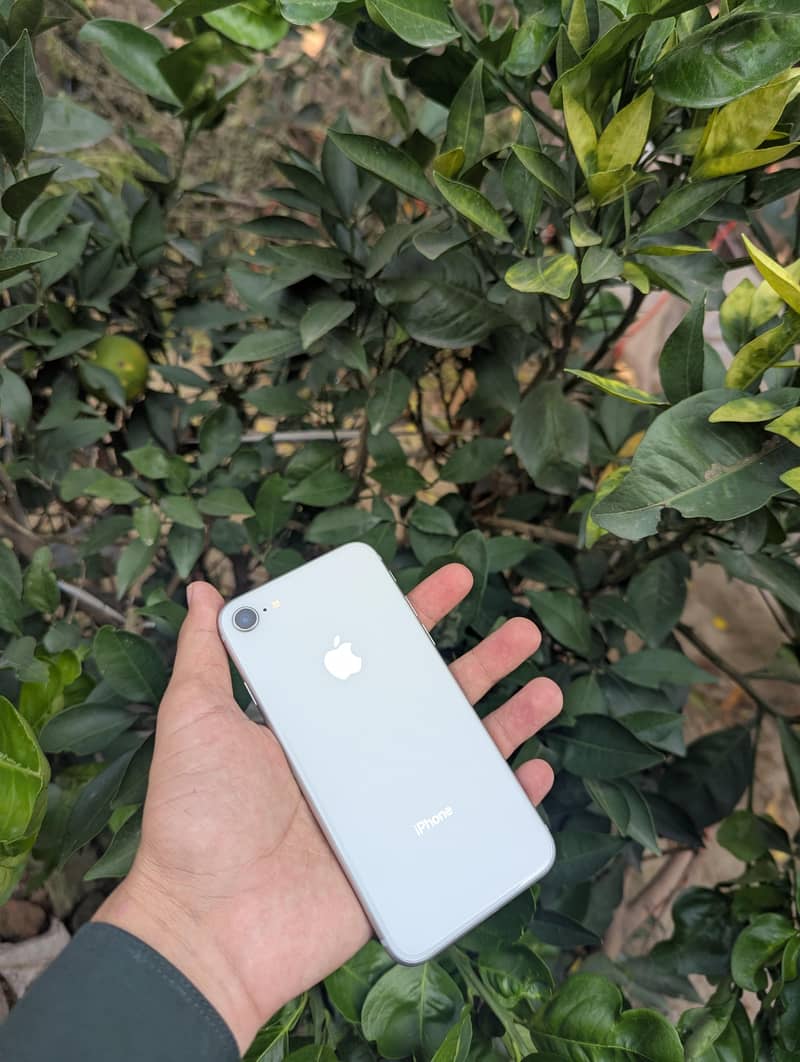 iPhone 8 1