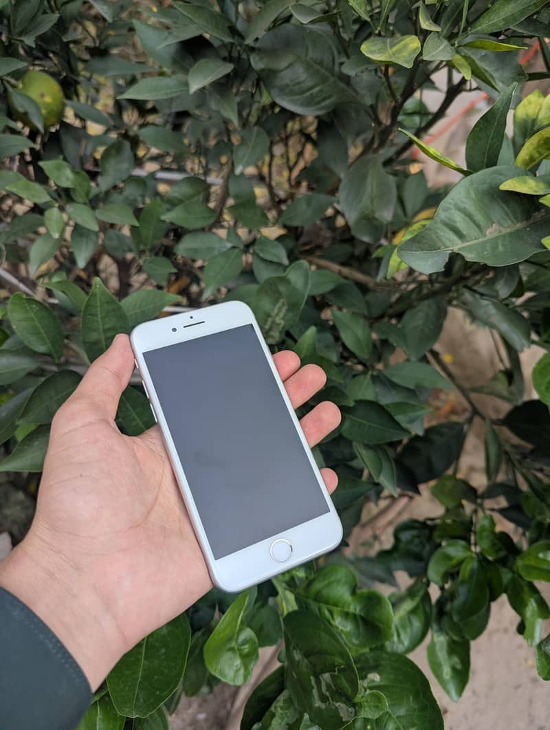 iPhone 8 3