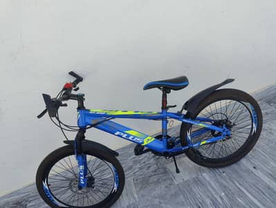 mountain bicycle