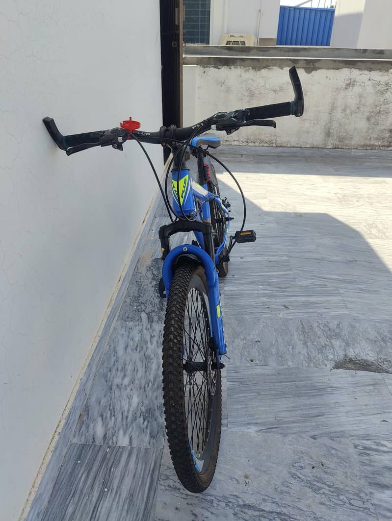 mountain bicycle 1