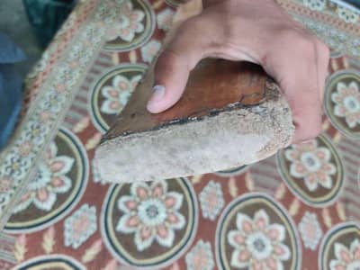 English willow hard ball bat