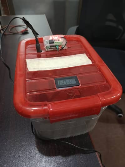 AC/DC Egg Incubator