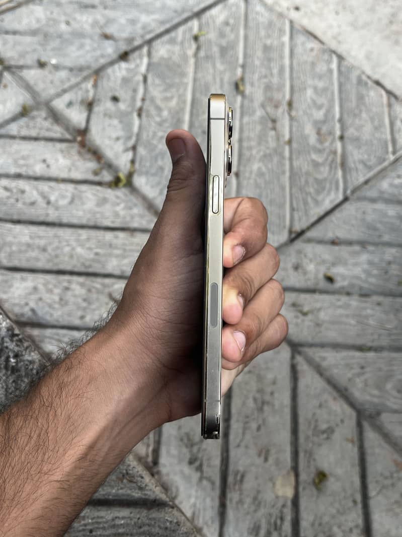 Apple iPhone 13 Pro Max 1