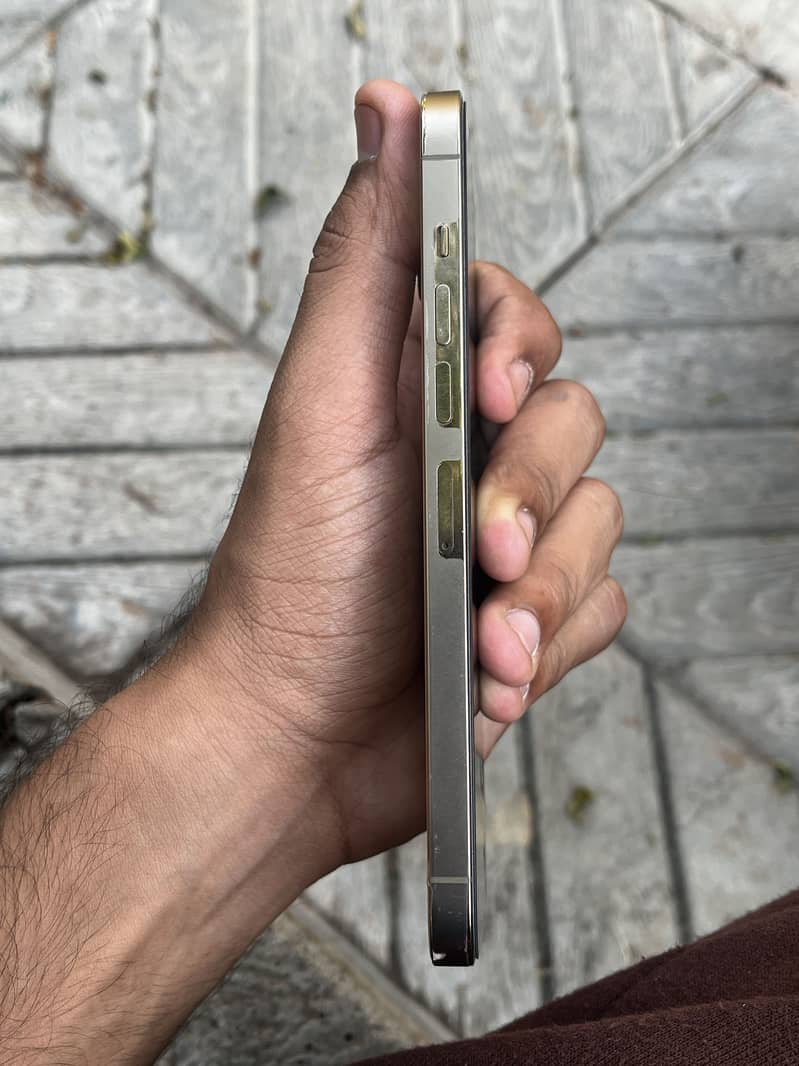 Apple iPhone 13 Pro Max 6