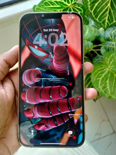 Apple iPhone 13 Pro Max