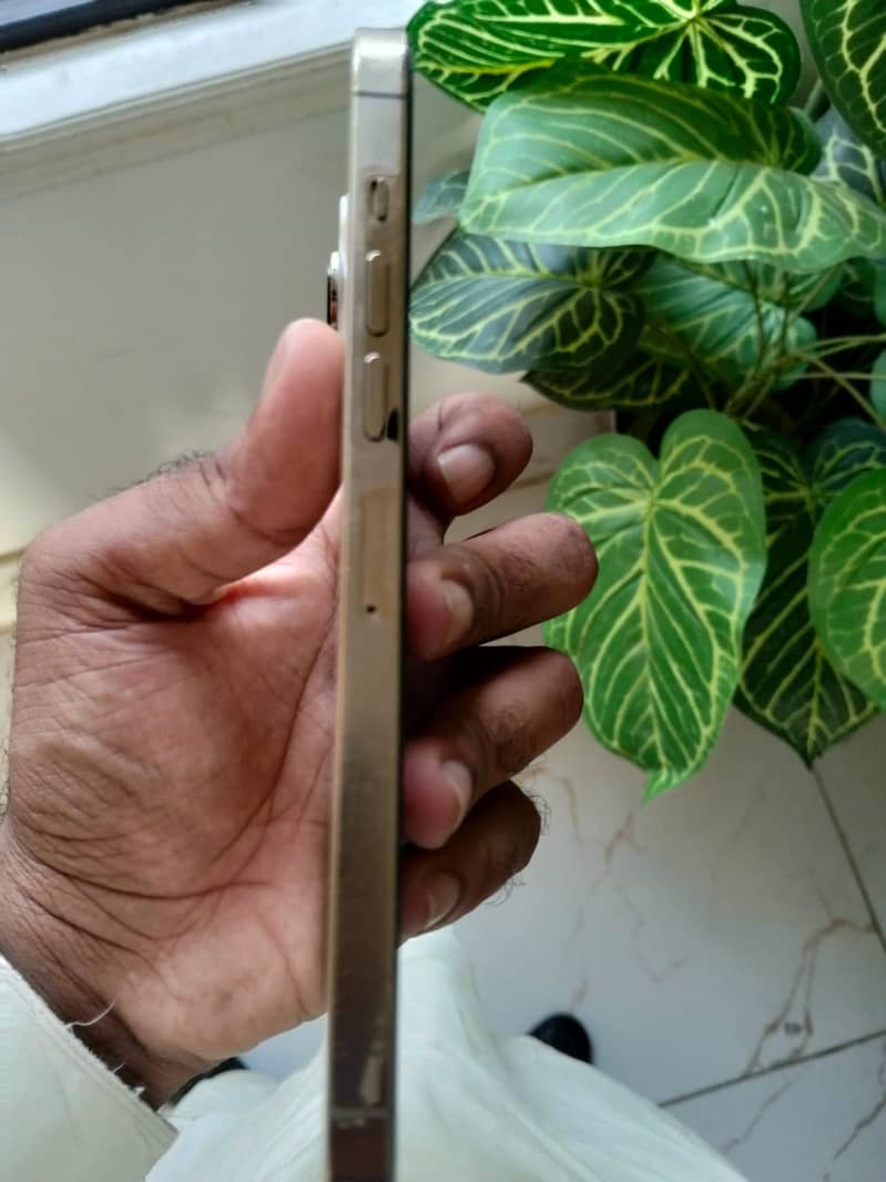Apple iPhone 13 Pro Max 1