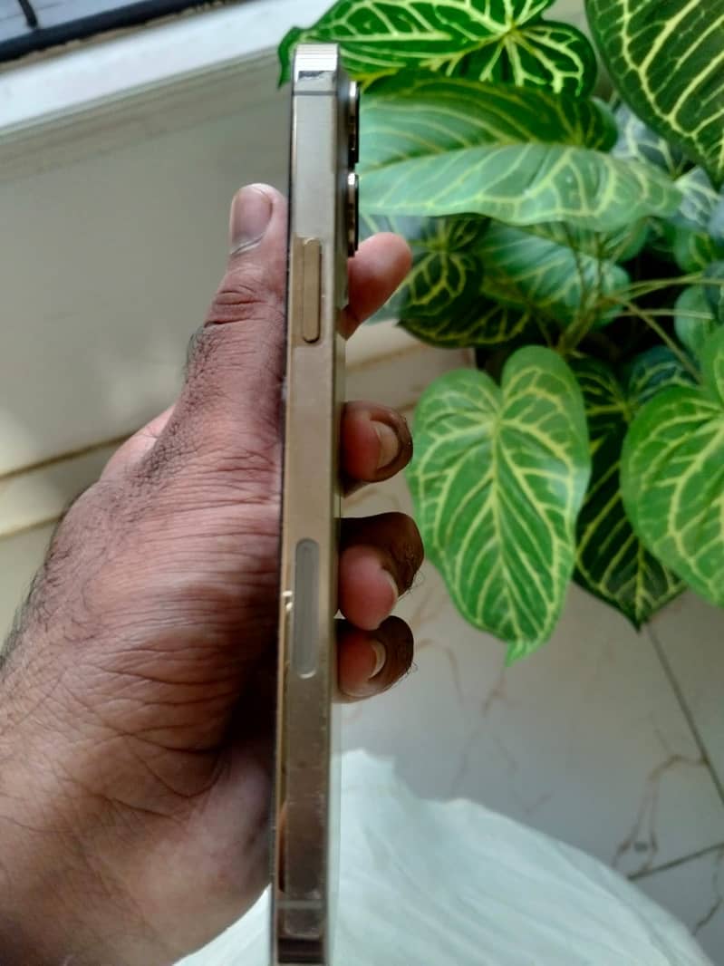 Apple iPhone 13 Pro Max 2