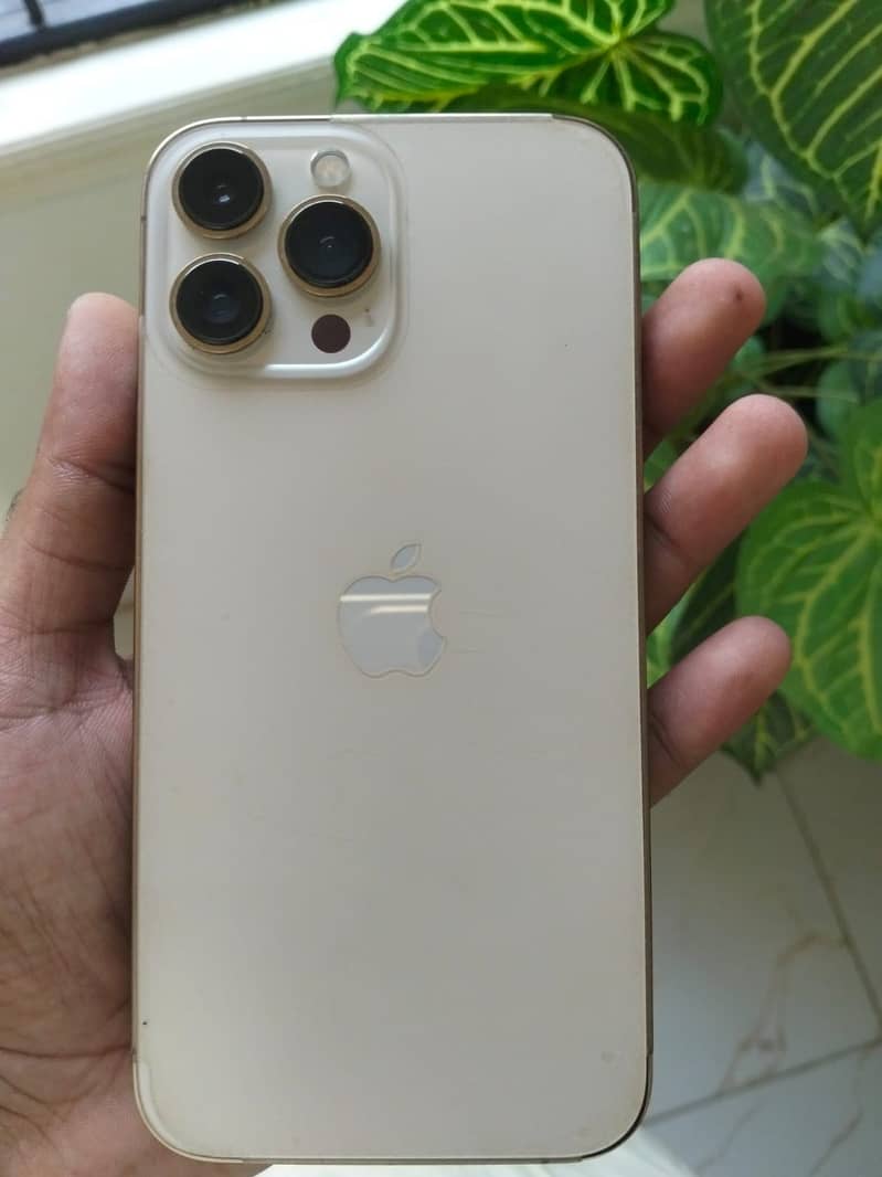 Apple iPhone 13 Pro Max 3