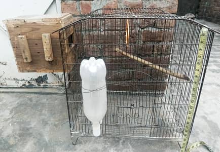 Iron Cage for sale