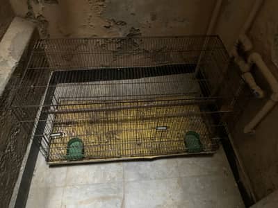 Big size cage urgent sale