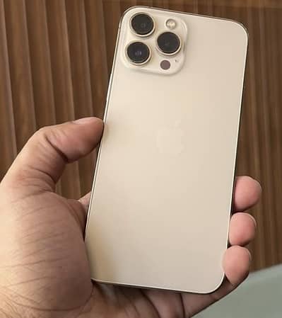 Apple iPhone 13 Pro Max