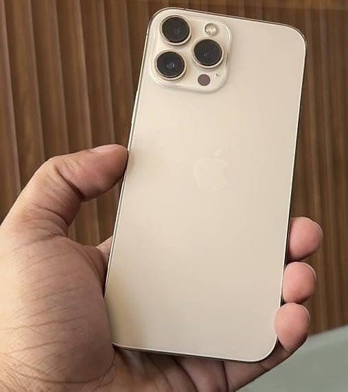 Apple iPhone 13 Pro Max 0