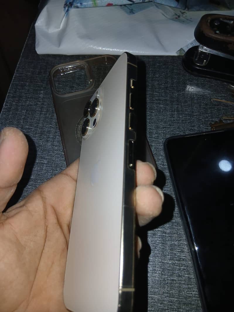 Apple iPhone 13 Pro Max 1