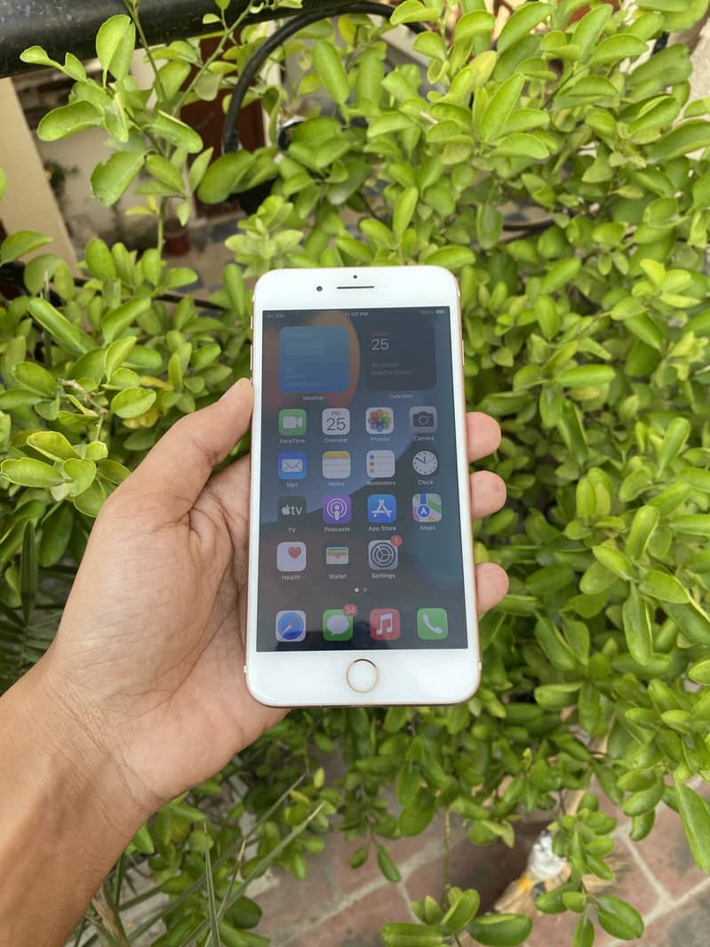 iPhone 7 Plus 1