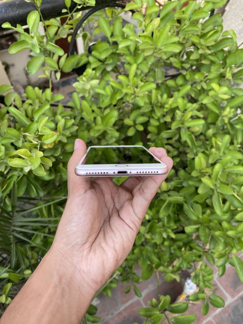 iPhone 7 Plus 2