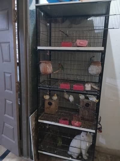 big cage for parrots and hens