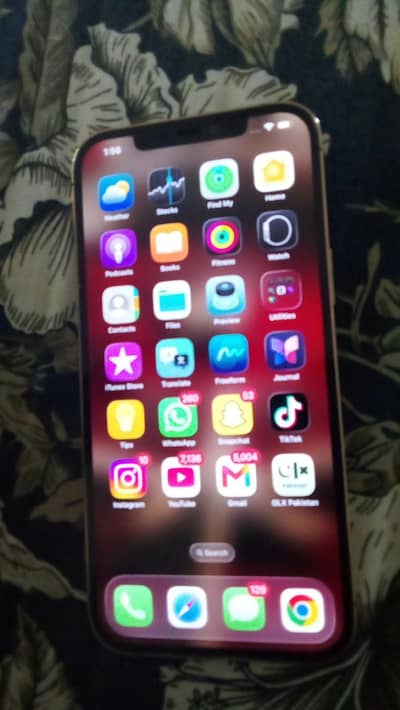 Apple iPhone 12 Pro Max