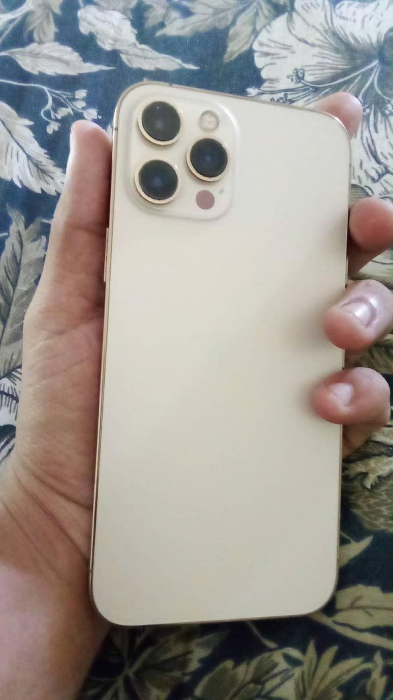 Apple iPhone 12 Pro Max 1