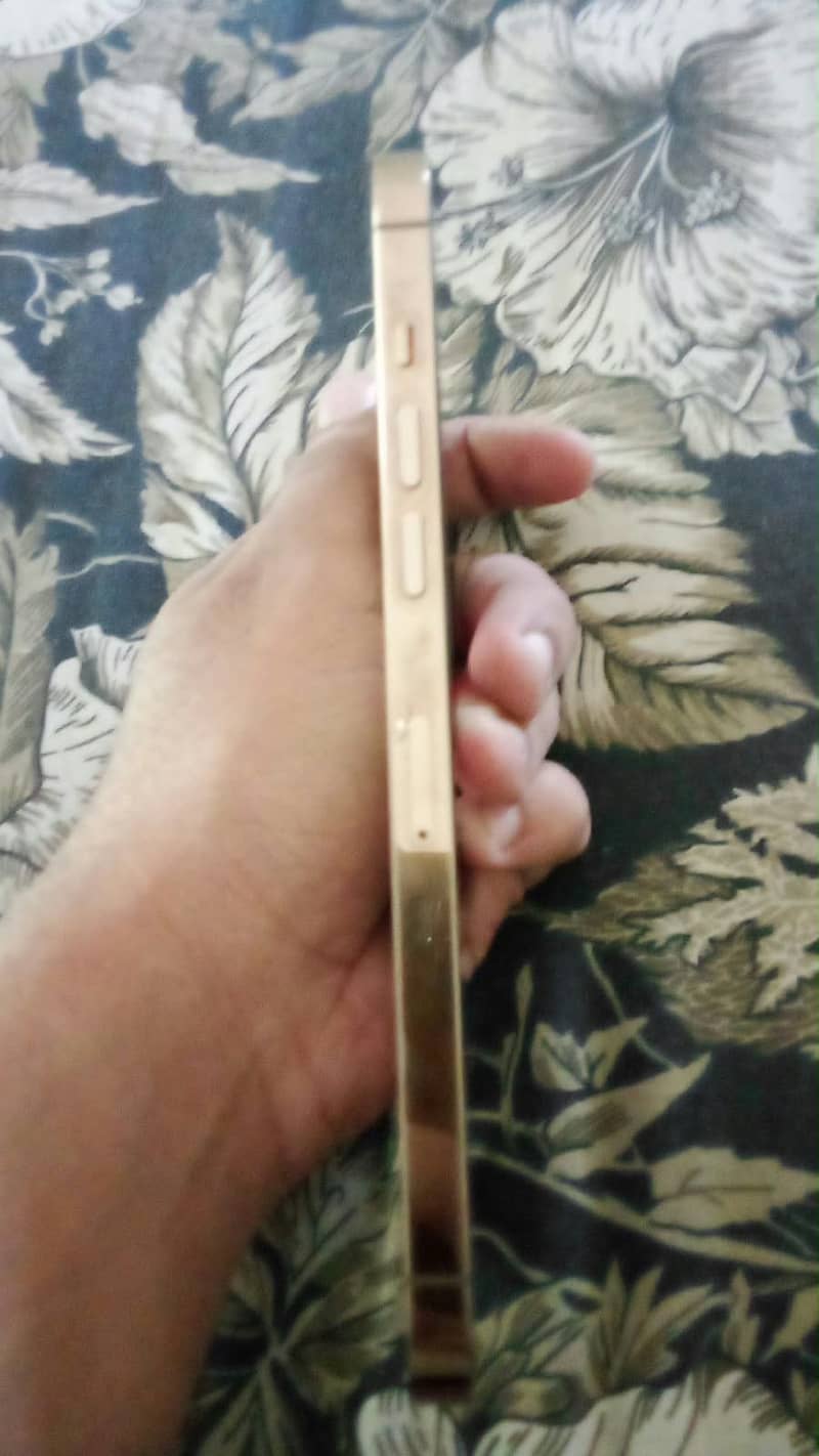 Apple iPhone 12 Pro Max 2