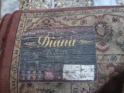 carper daina compnay neet 10 by 10