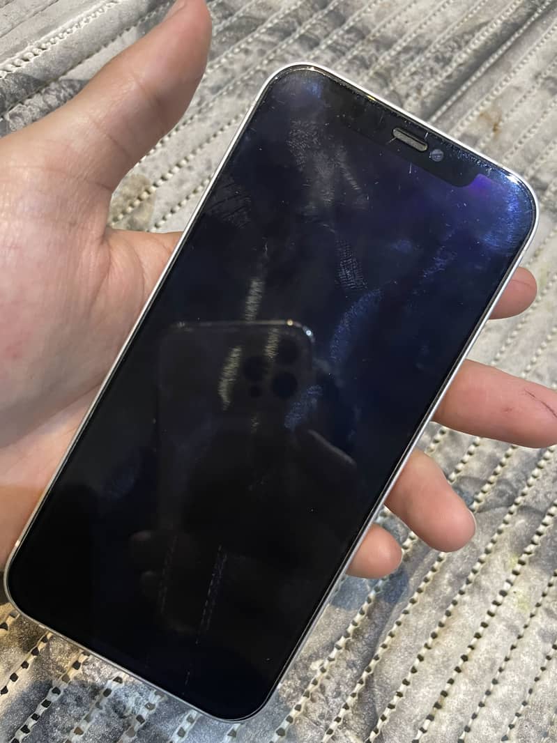 Apple iPhone 12 1
