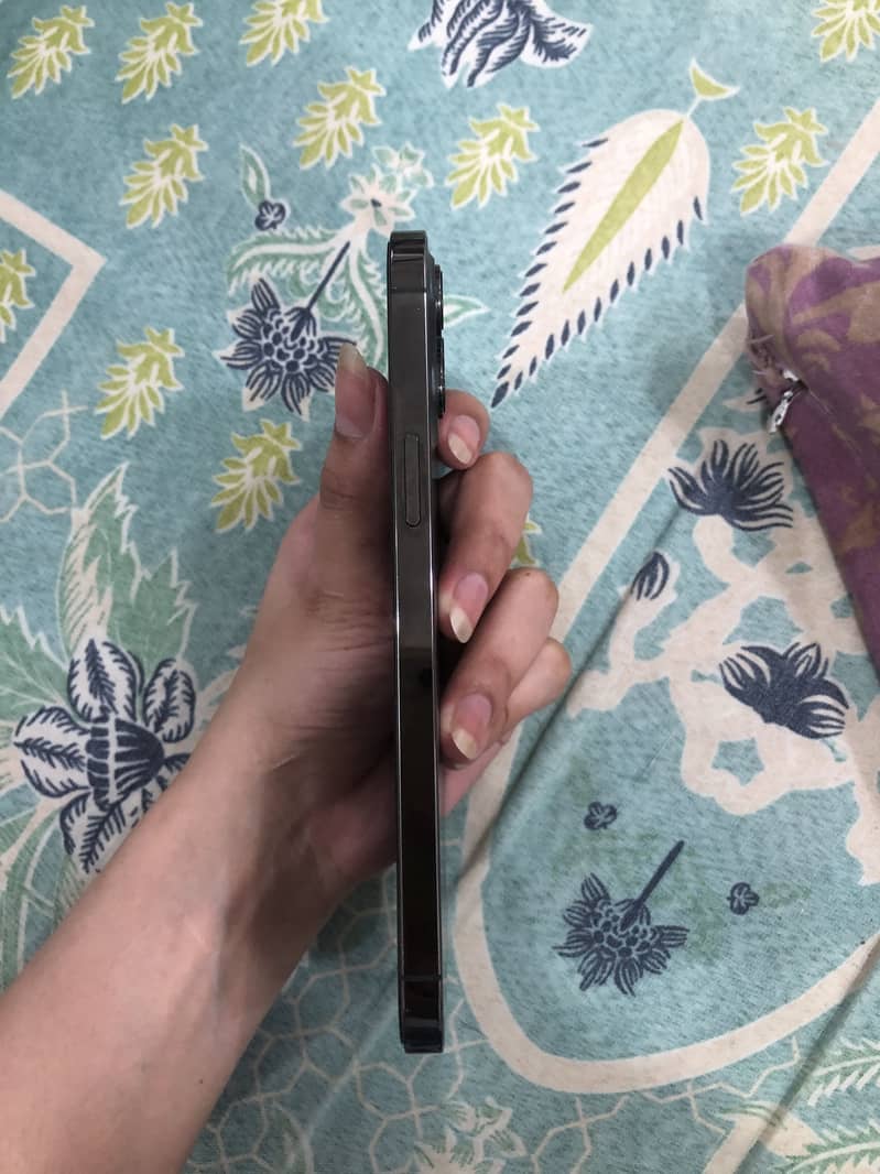 Apple iPhone 12 Pro Max 2