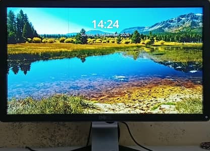 Dell 2014p 19" IPS panel monitor