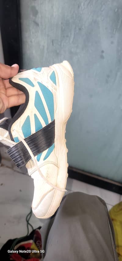 CA BIG BANG SPIKES FOR SALE