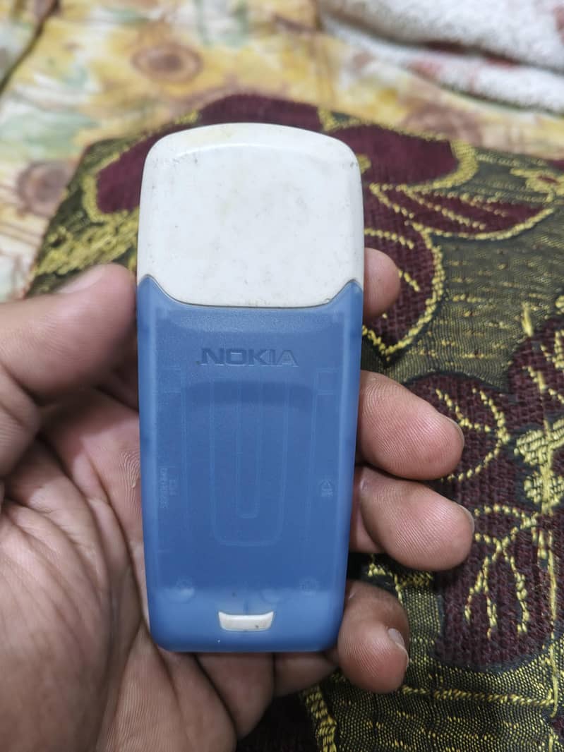 Nokia 3100 2