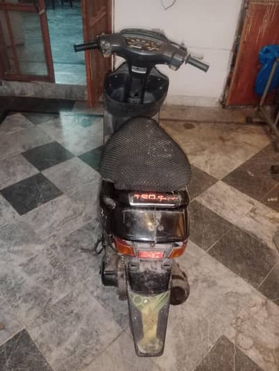 Scotty for Sale
