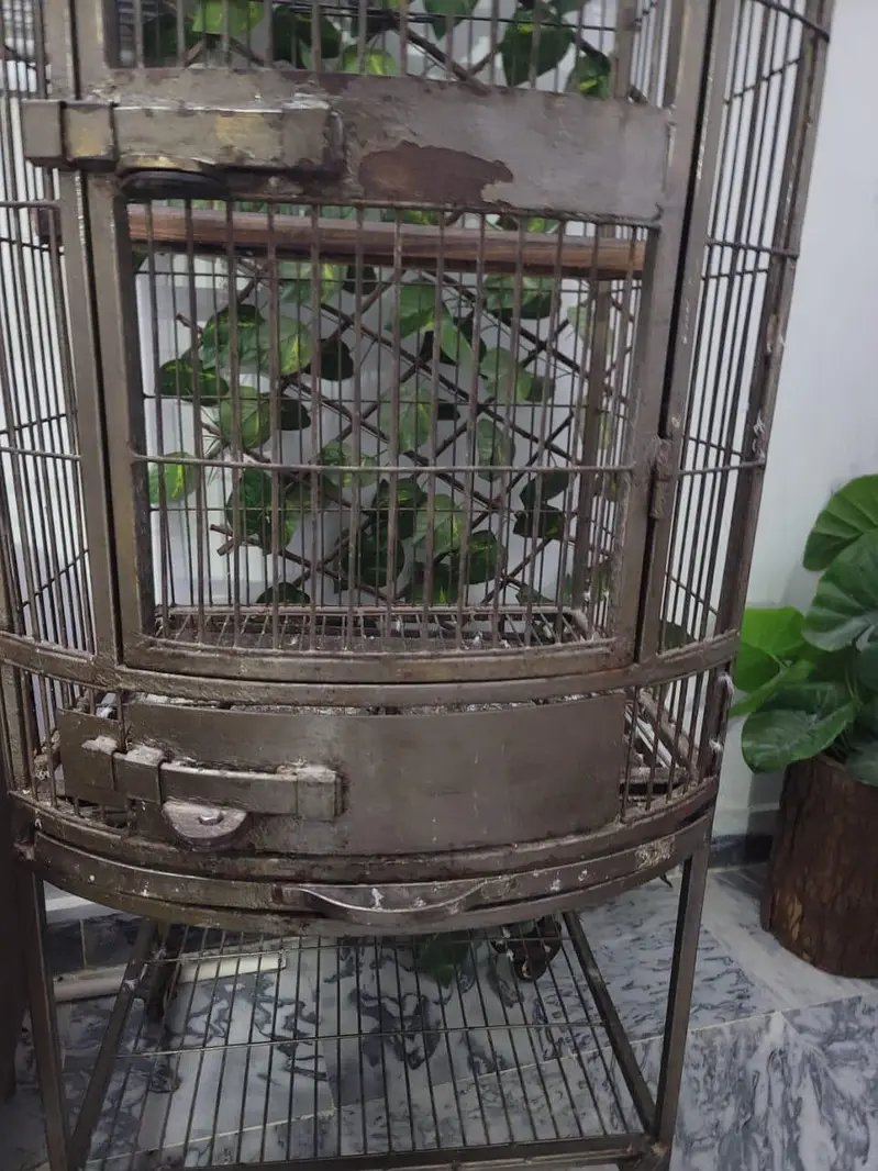Large Heavy Duty Iron Bird Cage with 2 Trays — photo 2