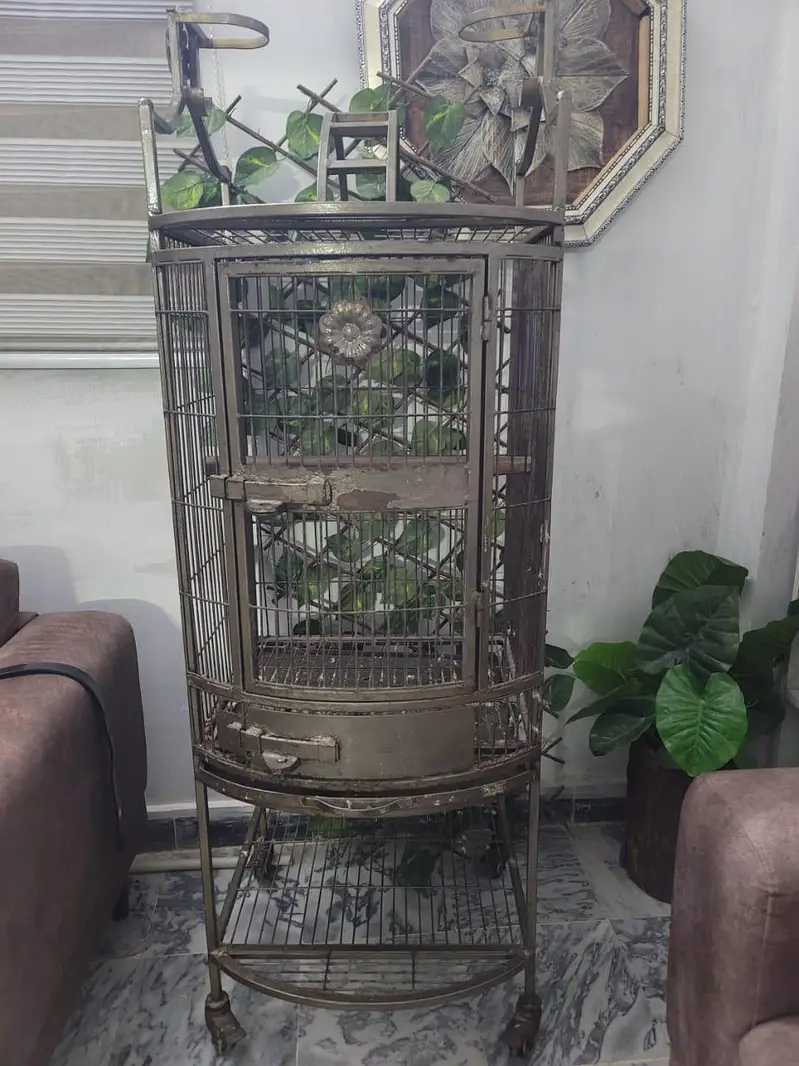 Large Heavy Duty Iron Bird Cage with 2 Trays — photo 3