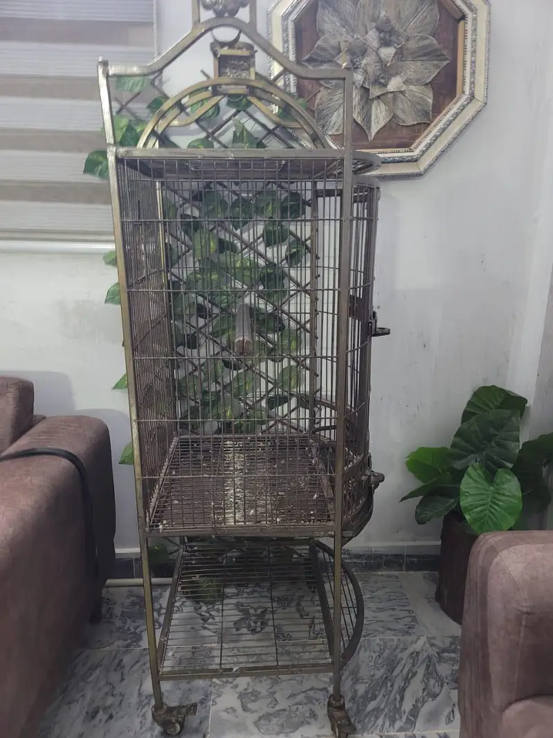 Large Heavy Duty Iron Bird Cage with 2 Trays — photo 4