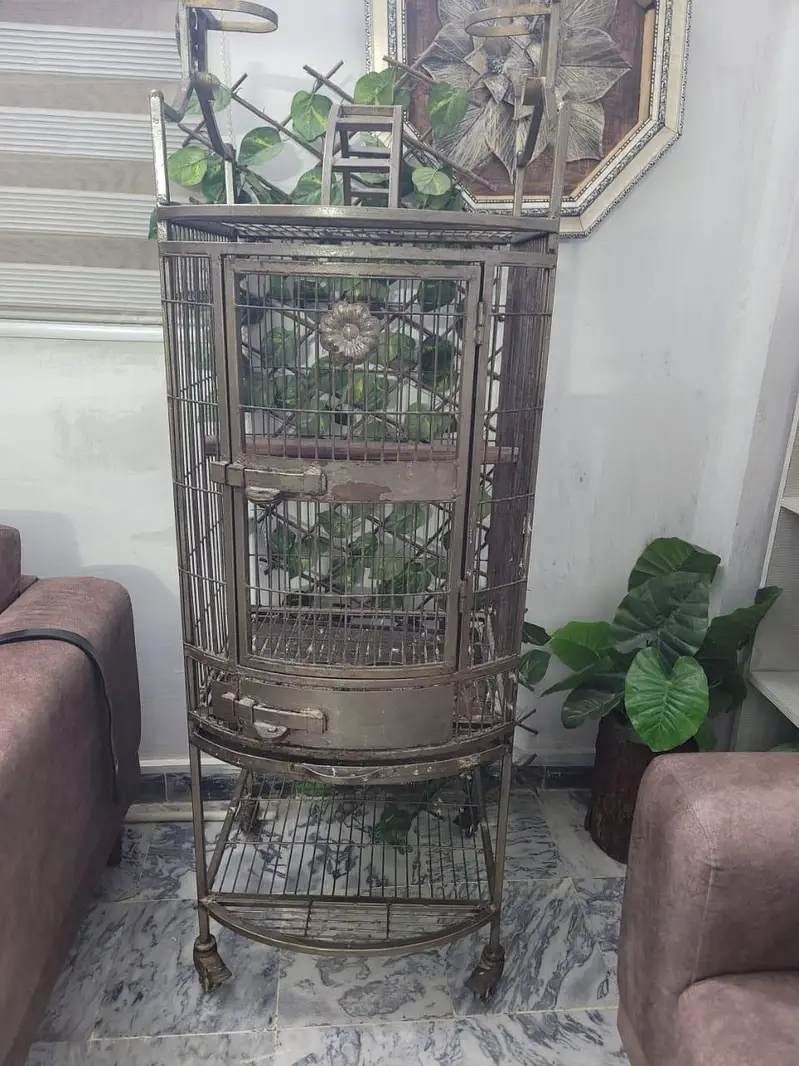 Large Heavy Duty Iron Bird Cage with 2 Trays — photo 5