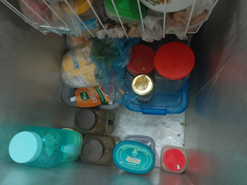 Deep Freezer 4